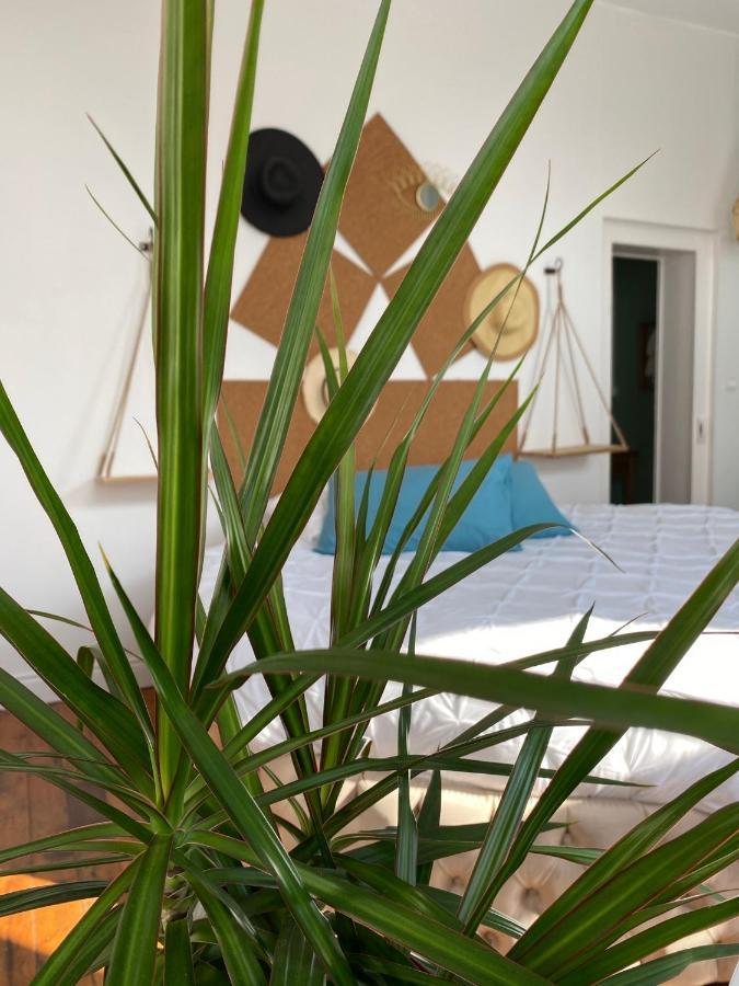 Hypolite Bed & Breakfast Avesnes-sur-Helpe Exterior foto